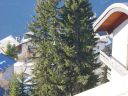 DSC00366.JPG