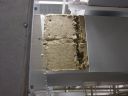 DSC00621.JPG