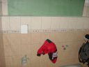 DSC00882.JPG